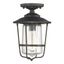 Old Bronze Seeded Glass Outdoor Semi-Flush Mount Light