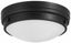 Coal Finish Dual-Light Indoor/Outdoor Flush Mount with Clear Glass