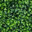 20-Inch Milan Artificial Boxwood Hedge Panels, 12-Piece Set