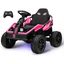 Pink 24V Kids Ride-On UTV with Remote Control