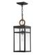 Transitional Black and Bronze LED Outdoor Hanging Lantern with Clear Glass