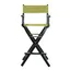 Elevate 30" Black Solid Wood Director's Chair with Turquoise Canvas