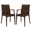 Modern Weave Design Brown Polypropylene Dining Chair - Set of 2