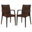 Modern Weave Design Brown Polypropylene Dining Chair - Set of 2