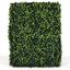 Rectangular Green Plastic Boxwood Outdoor Hedge Wall