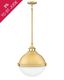 Satin Brass Etched Opal Glass 2-Light Elegant Pendant