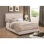 Contemporary Ivory Full Upholstered Bed with Nailhead Trim and Storage Drawer