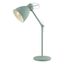 Pastel Light Green Adjustable Steel Desk Lamp