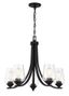 Coal Finish 5-Light Chandelier with Clear Seeded Glass Shades