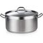 9 Quart Stainless Steel Dutch Oven with Lid