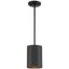 Pilson XL Modern Matte Black Drum Pendant Light