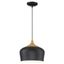 Blend Black and Wood Grain 12" LED Pendant Light