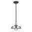 Burry Contemporary Satin Nickel LED Indoor/Outdoor Bowl Pendant Light