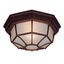 Burled Walnut 11" Outdoor Flushmount Ceiling Fixture with Frosted Glass