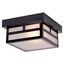 Artisan Matte Black and Frosted Glass 8.25" Indoor/Outdoor Ceiling Light