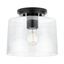 Adley Matte Black and Clear Glass Flush Mount Light