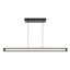 Cass Black Steel 48" LED Linear Pendant Light