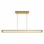 Cass 48" Gold LED Linear Pendant Light