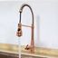 Copper Bronze Pull-Out Spray Kitchen Faucet with Spring Design