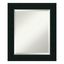 Corvino Satin Black 21x25 Rectangular Wood Bathroom Vanity Mirror