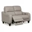 Gray Leather Power Reclining Loveseat with Adjustable Headrest