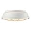 French White Rustic Glass LED Flush Mount Light