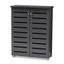 Adalwin Dark Gray 2-Door Wooden Shoe Storage Cabinet