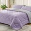 Light Purple and Grey Queen Microfiber Bed in a Bag Set