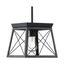 Briarwood Textured Black Mini-Pendant with Faux Wood Accent