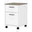 Pure White and Shiplap Gray 2-Drawer Mobile Filing Cabinet