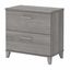 Platinum Gray 2-Drawer Lockable Lateral Filing Cabinet