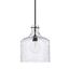 Matte Black and Clear Glass Jar Pendant Light