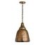 Oxidized Brass Industrial Bell Pendant Light