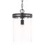 Fuller Matte Black and Clear Glass Single Pendant Light