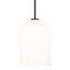 Matte Black Glass and Nickel Indoor/Outdoor Pendant Light