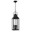 Bradford Black 4-Light Outdoor Hanging Lantern with Clear Glass