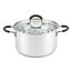 Professional 5-Quart Stainless Steel Stockpot with Lid