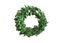 6" Deep Green Preserved Boxwood Wreath