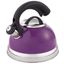 Plum Stainless Steel 2.6 Qt Whistling Tea Kettle