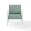 Mist and White Kaplan Transitional Outdoor Armchair with Cushions