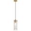 Pasha Aged Brass Modern 87" Indoor/Outdoor Clear Glass Pendant