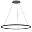 Matte Black Modern LED Ring Pendant Light