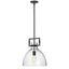 Matte Black Glass Dome Pendant Light with Aged Brass Finish