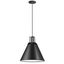 Matte Black 14" Indoor/Outdoor Drum Pendant Light