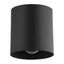 Matte Black Glass Globe Indoor/Outdoor Ceiling Light