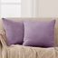 Lilac Velvet 20" x 20" Decorative Throw Pillow Covers, Set of 2