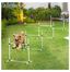 White Adjustable 4-Bar Dog Agility Training Set