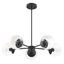 Matte Black 5-Light Chandelier with Seedy Glass Shades