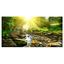 Mountain Stream Forest Landscape Photography Canvas Print