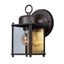 Rust Patina Dimmable Outdoor Lantern Sconce with Clear Glass